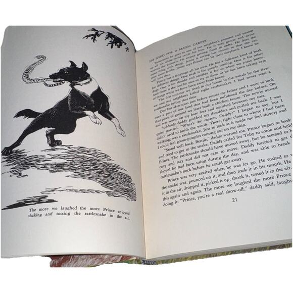 No Need For A Magic Carpet by Ivy R. Doherty 1962 Hardcover - Picture 7 of 9